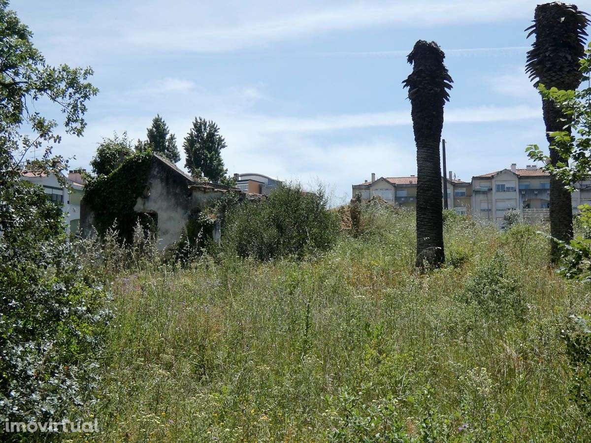 Quinta com 34090m2 - Grande imagem: 5/15