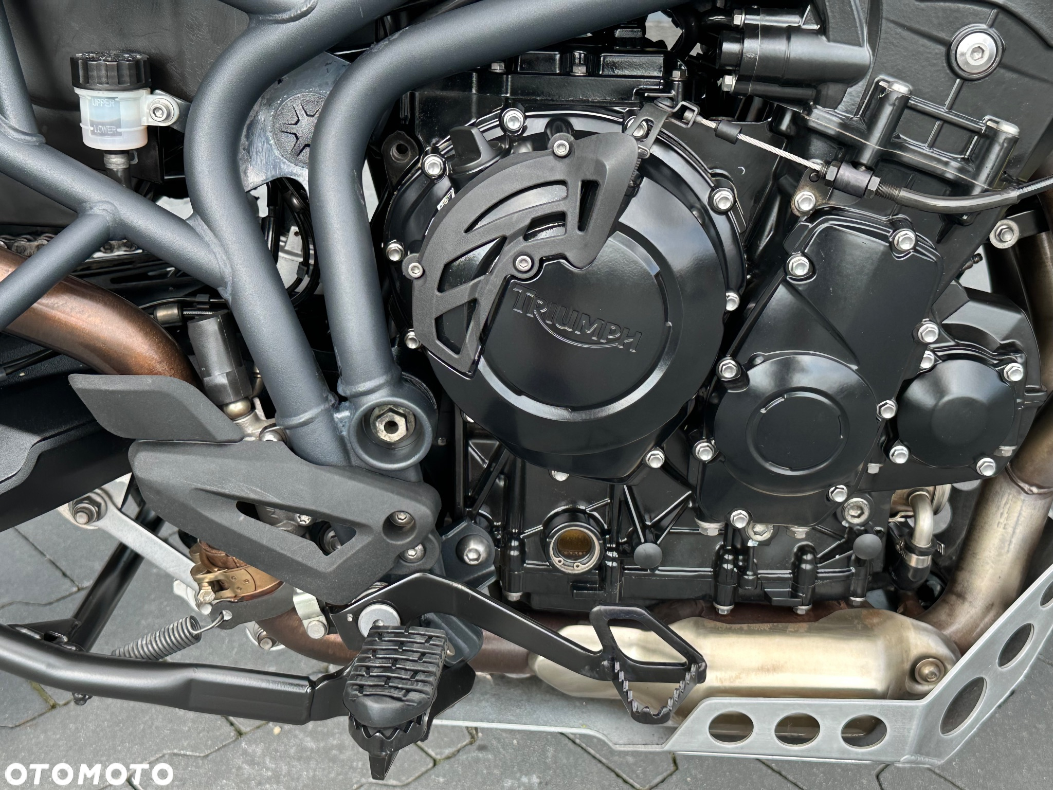 Triumph Tiger - 15