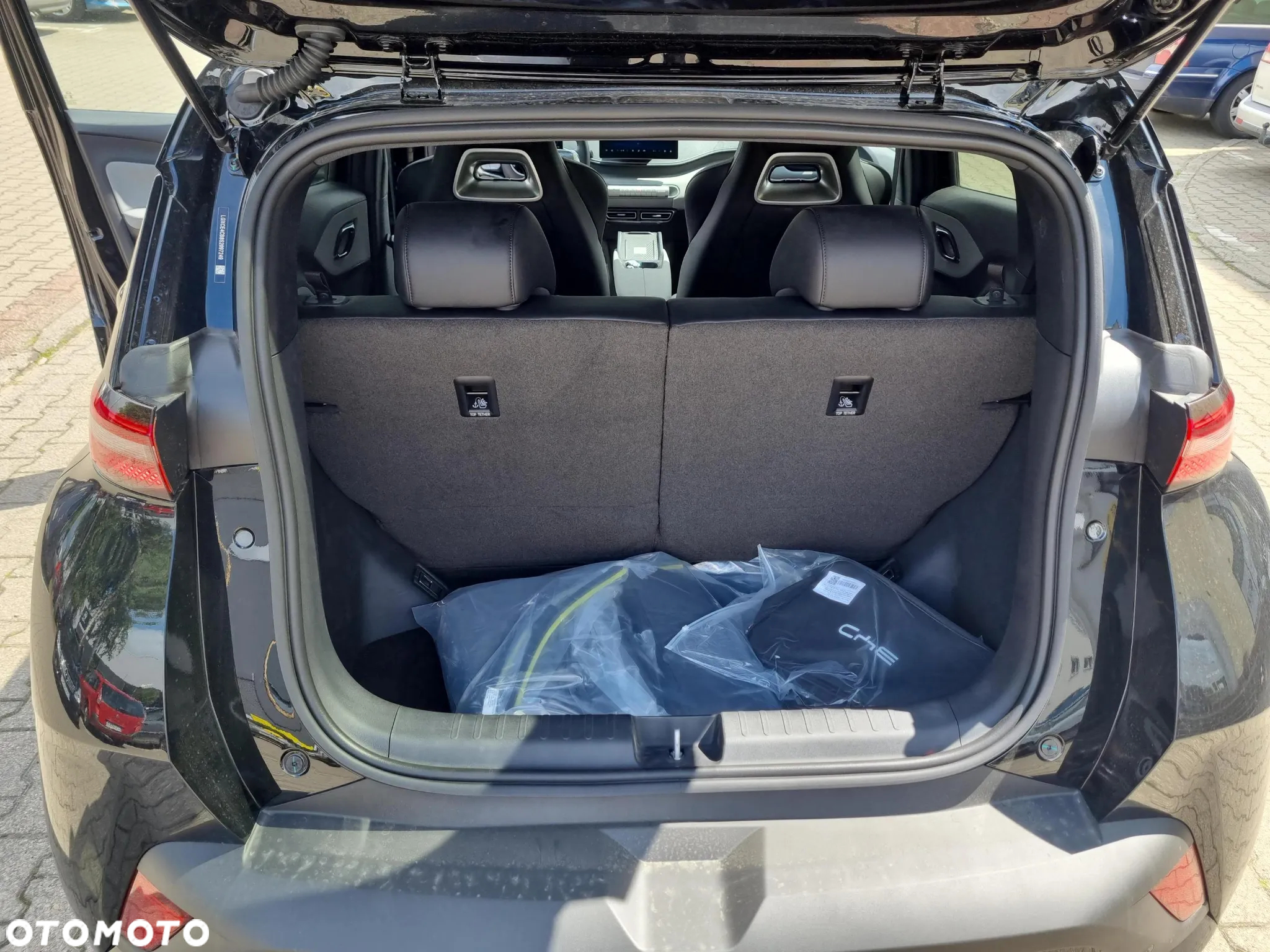 BYD Dolphin Surf - 17