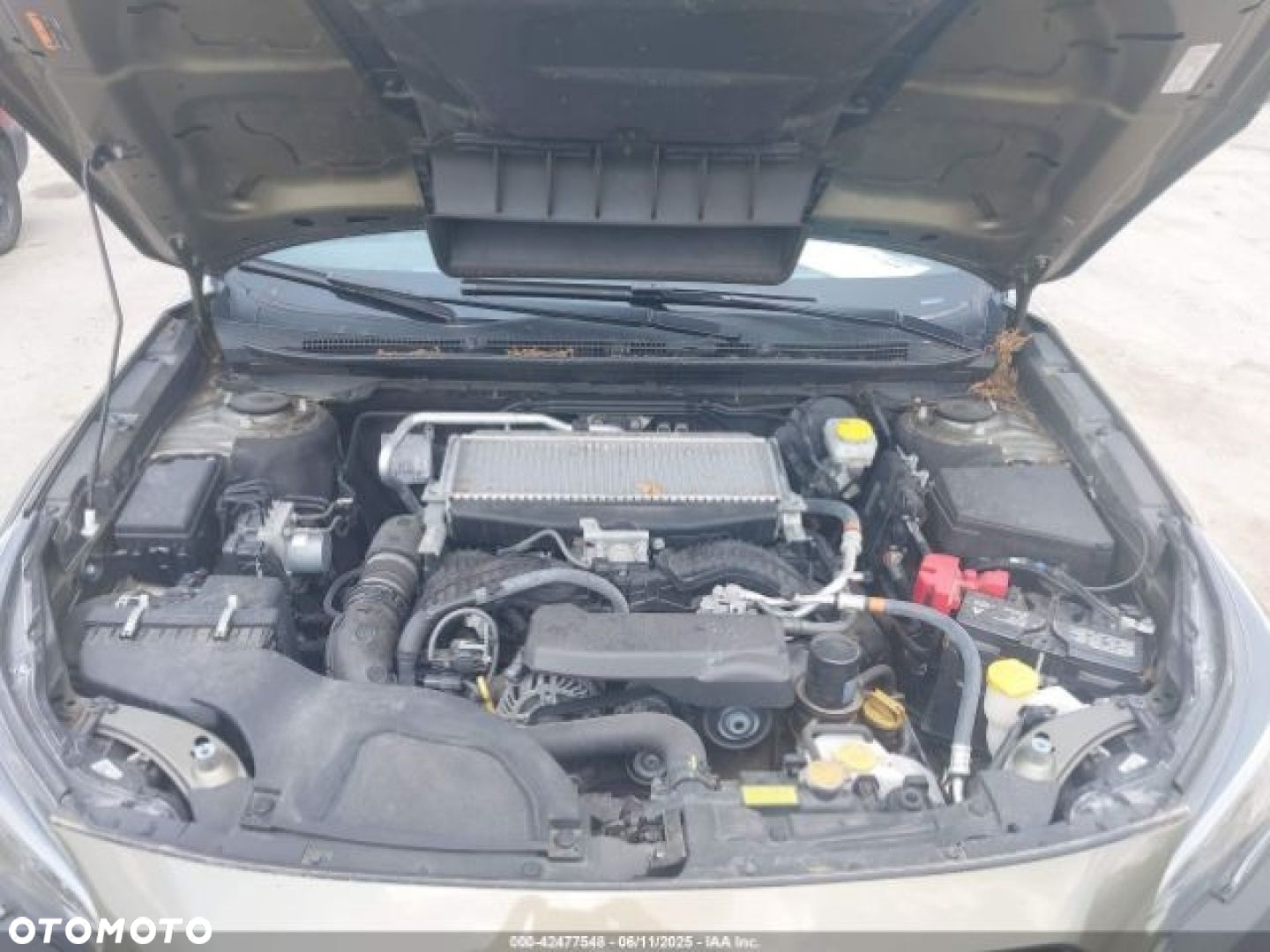 Subaru Outback - 12