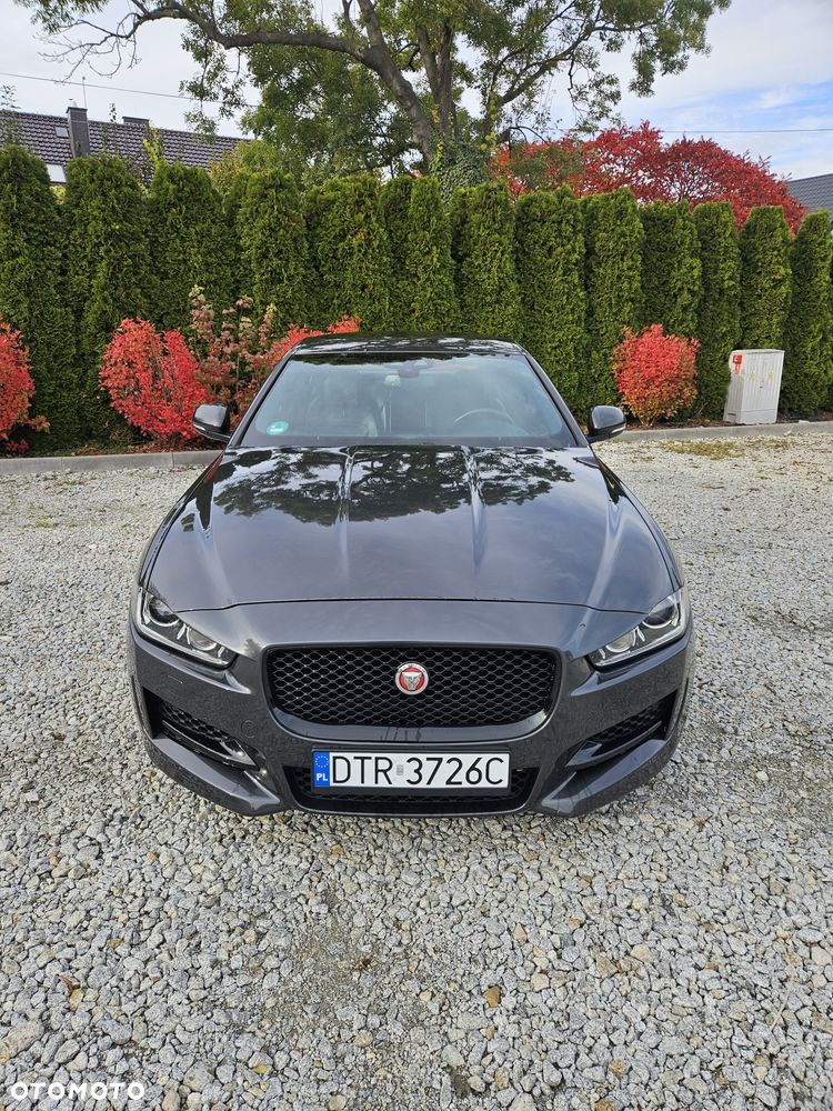 Jaguar XE - 3