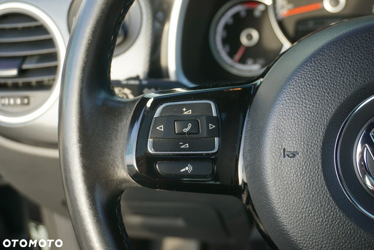 Volkswagen Beetle - 19