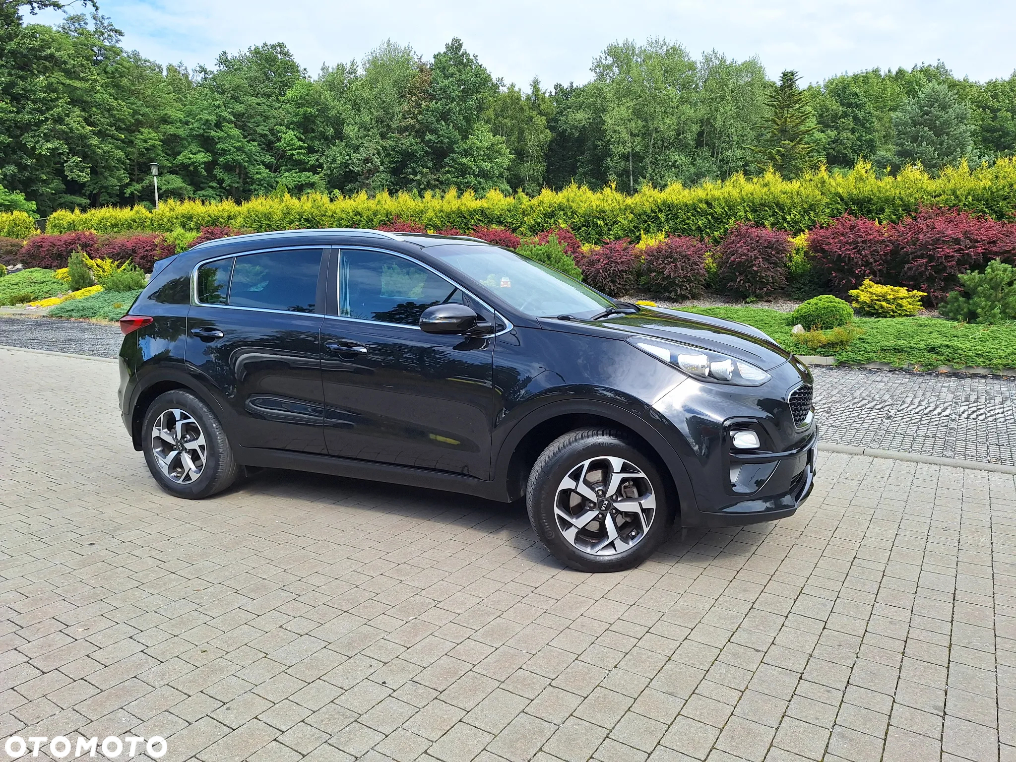 Kia Sportage 1.6 GDI L Business Line 2WD - 19