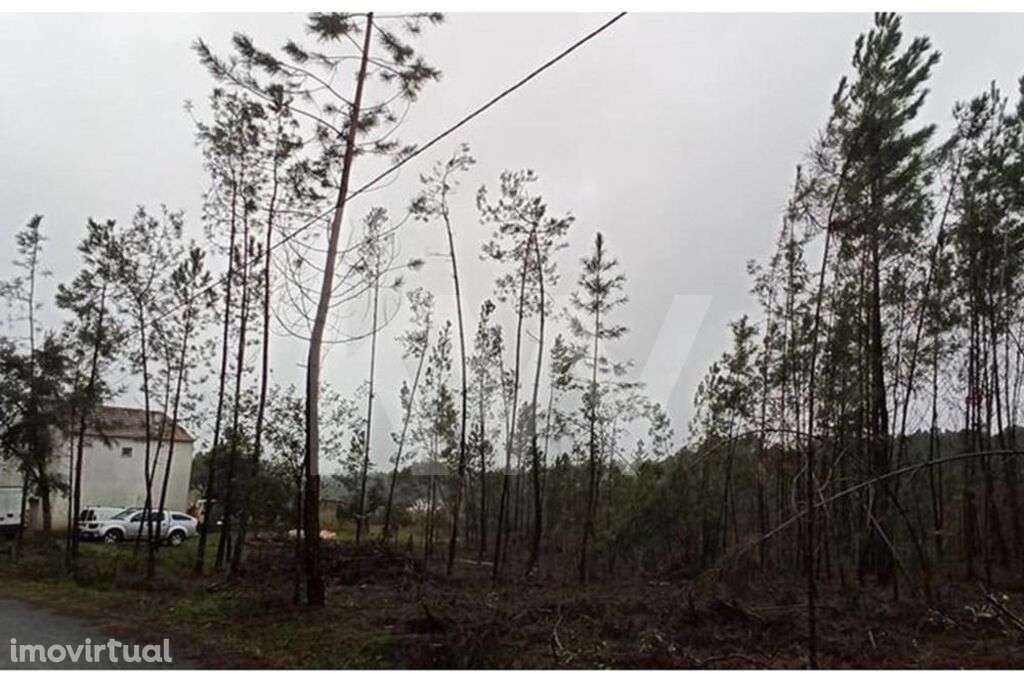 Terreno urbanizável 8500 m2 - Sertã, Castelo Branco - Grande imagem: 5/7