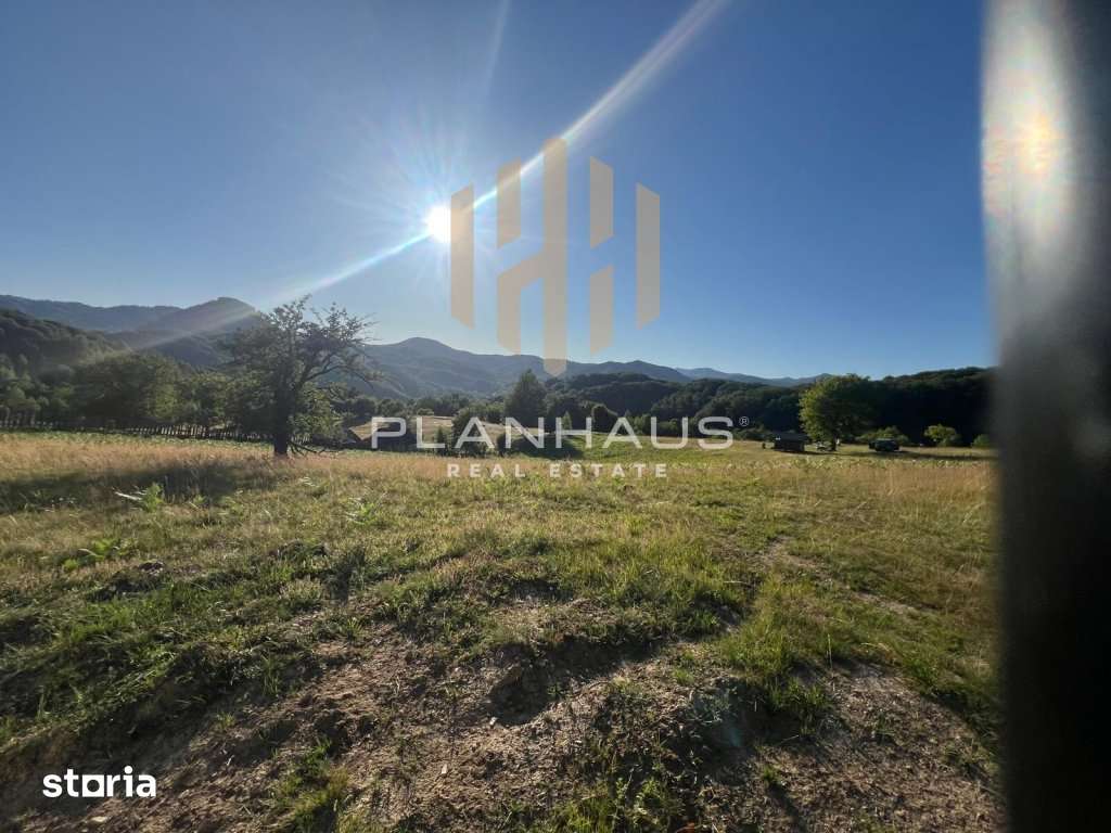 Teren extravilan Izvoare Maramures , zona Vidra , ideal pentru cabană - Imagine principală: 2/8