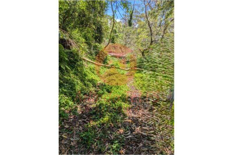 Venda Terreno - Grande imagem: 5/5