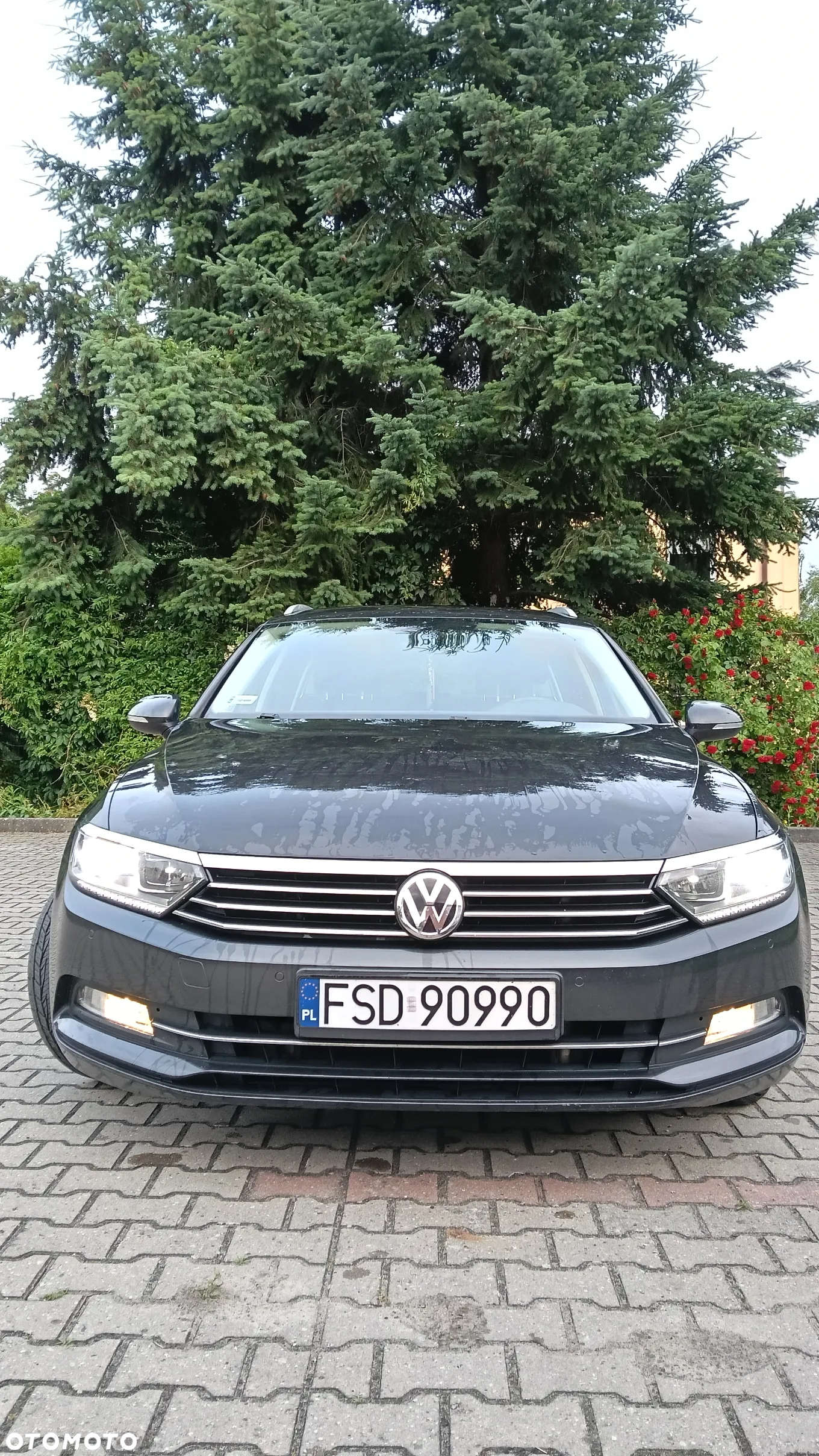 Volkswagen Passat 2.0 TDI BMT Comfortline DSG - 13