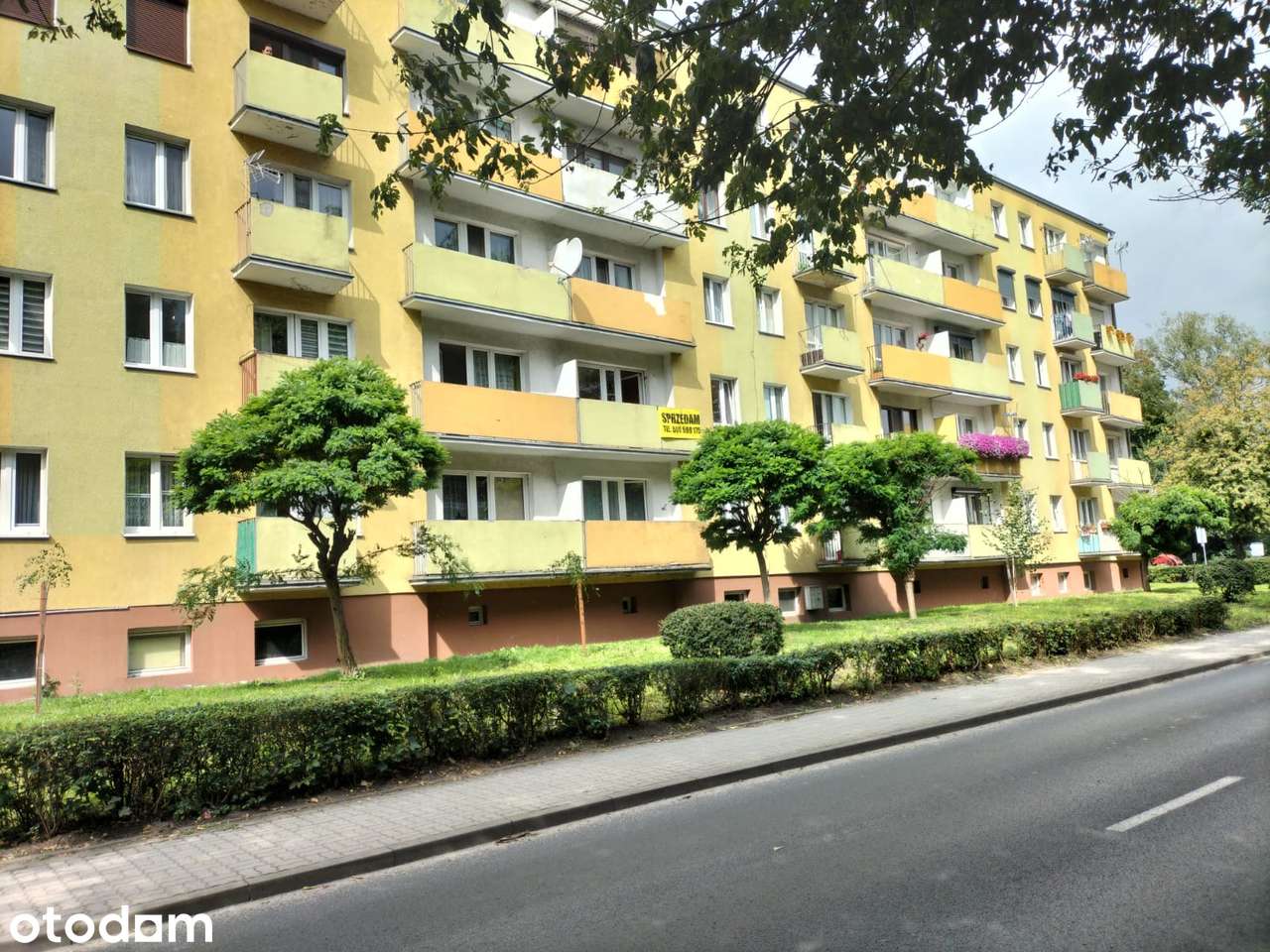 Mieszkanie na sprzedaż, 4 pokoje, 57 m², Mogilno