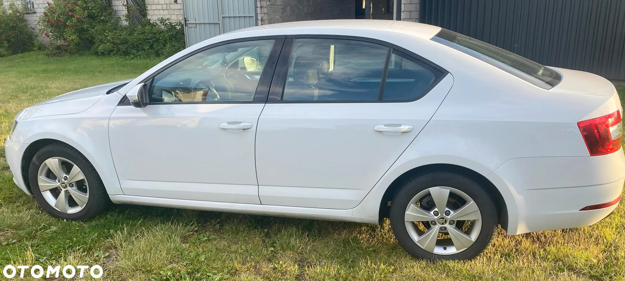 Skoda Octavia 1.5 TSI ACT Ambition - 5