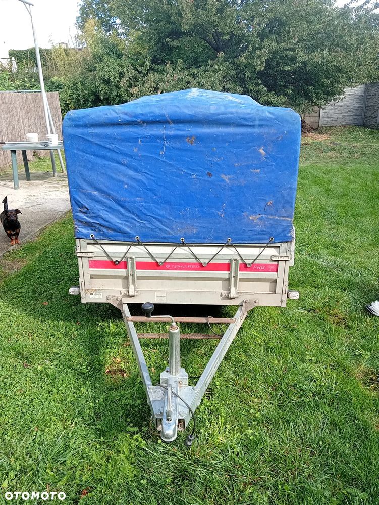 TEMARED Pro - 1