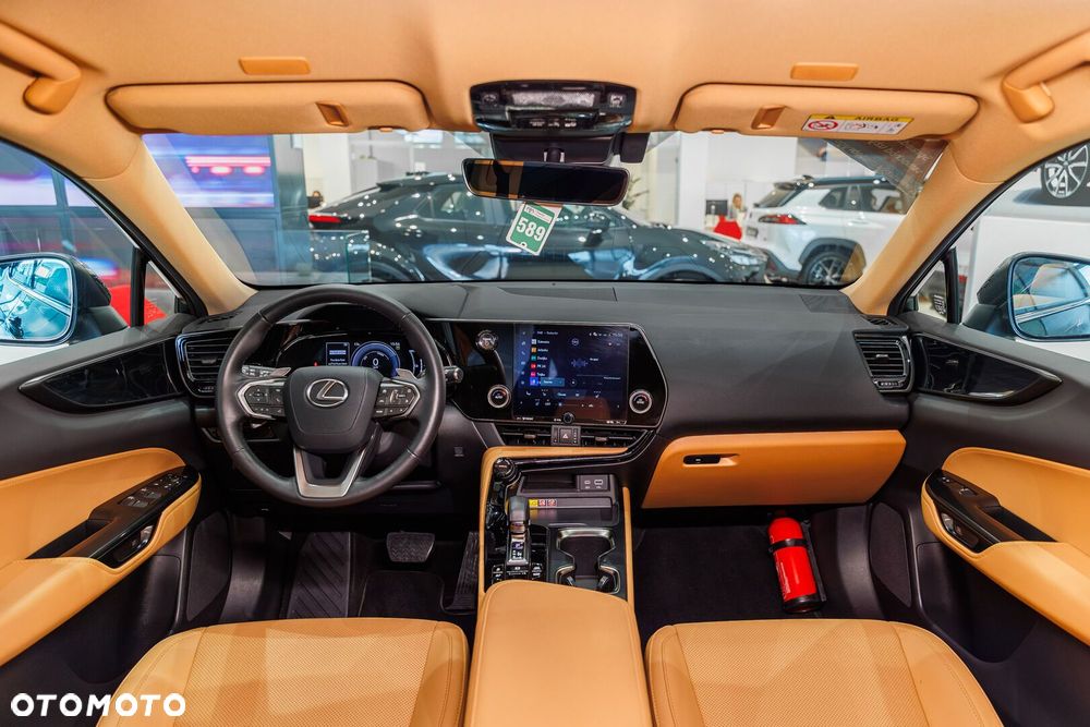 Lexus NX - 6
