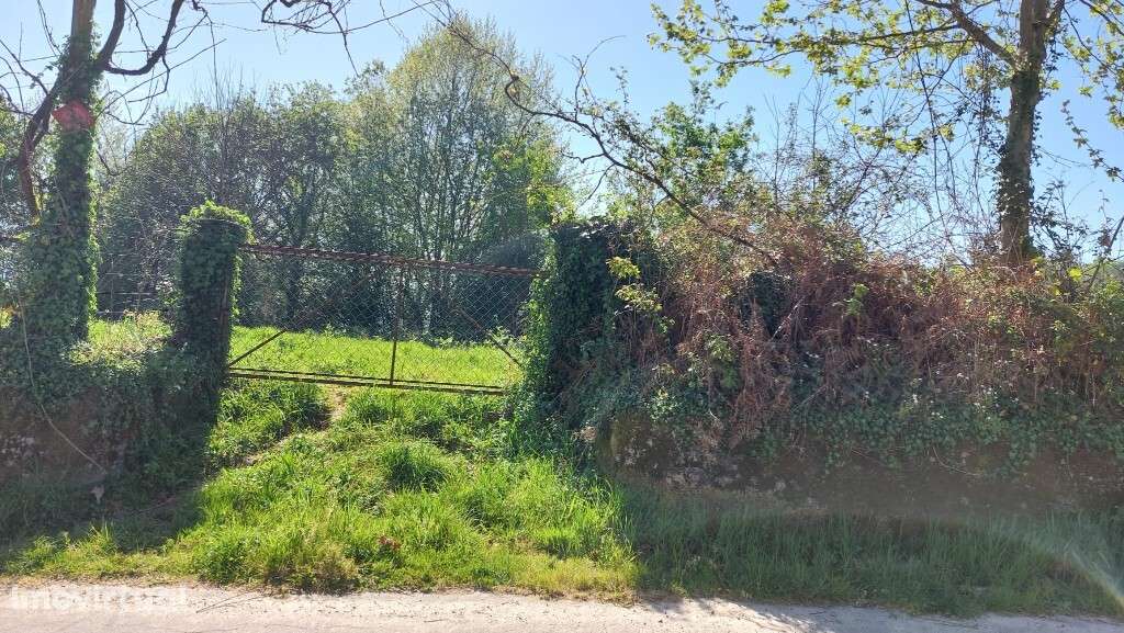 Terreno c/ viabilidade construtiva - Eira Vedra - Grande imagem: 4/12