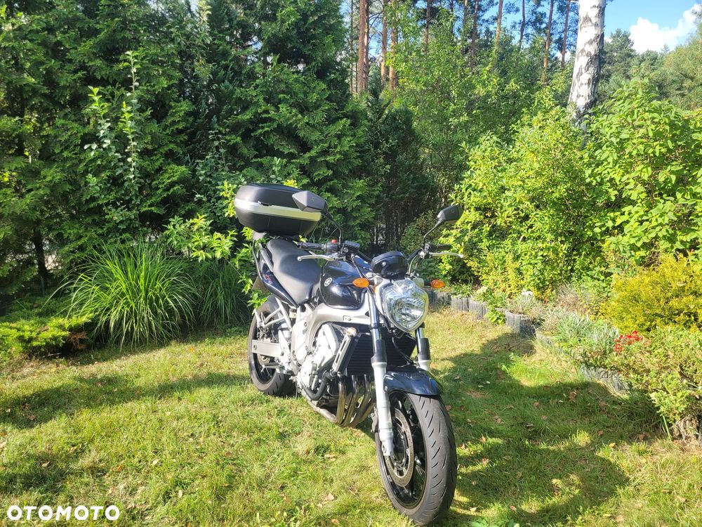 Yamaha FZ6 - 3