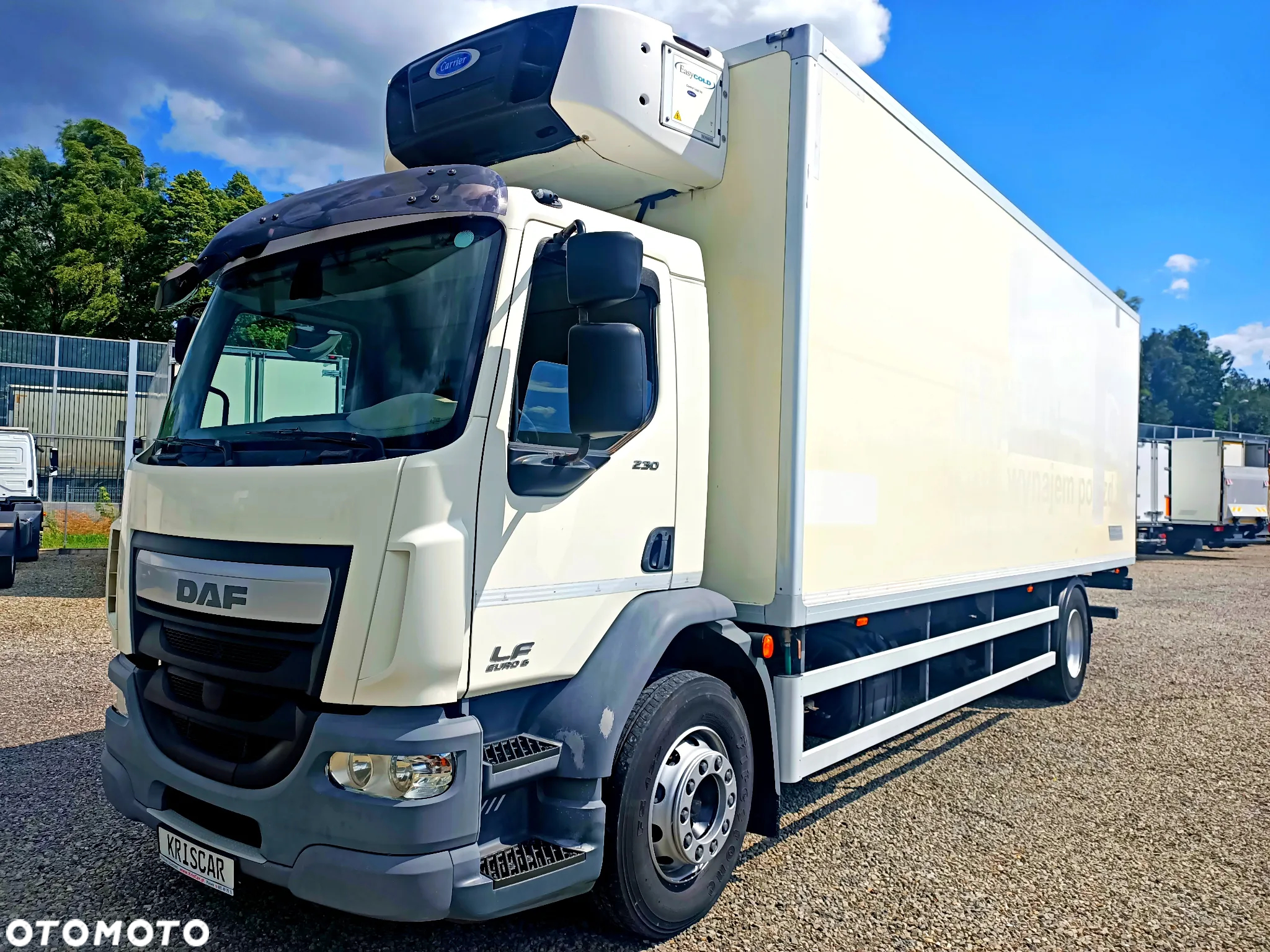 DAF LF 230 EURO 6 Chłodnia Supra 850 - 2