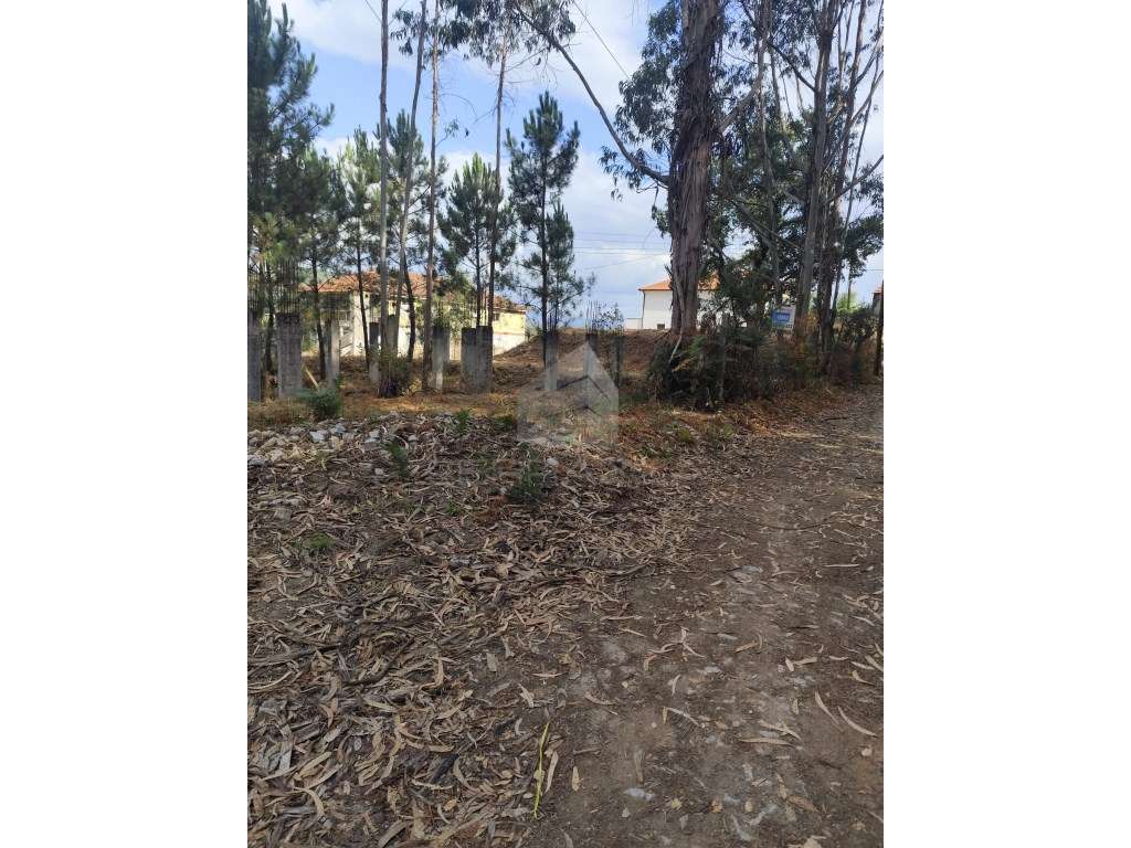 Terreno Urbano para construção Celorico Basto - Grande imagem: 3/12