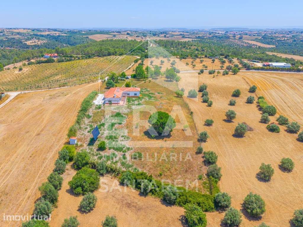Moradia T4 inserida em propriedade com 9.680 m² - Grande imagem: 4/44