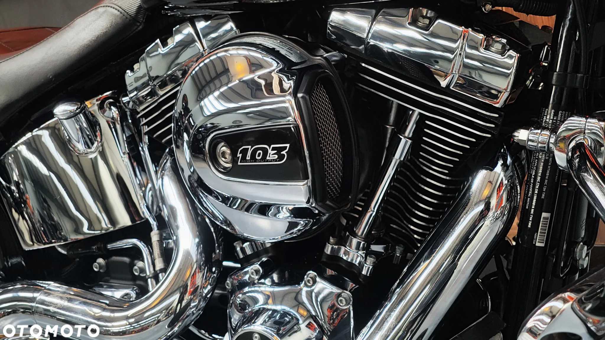 Harley-Davidson Softail Custom - 8