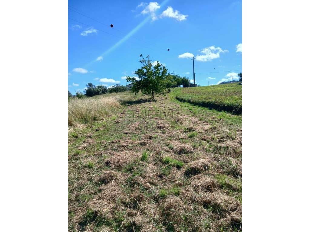 Terreno com 1000m2 em Cortes, índice construção 0,5% no PDM de Leiria - Grande imagem: 3/7