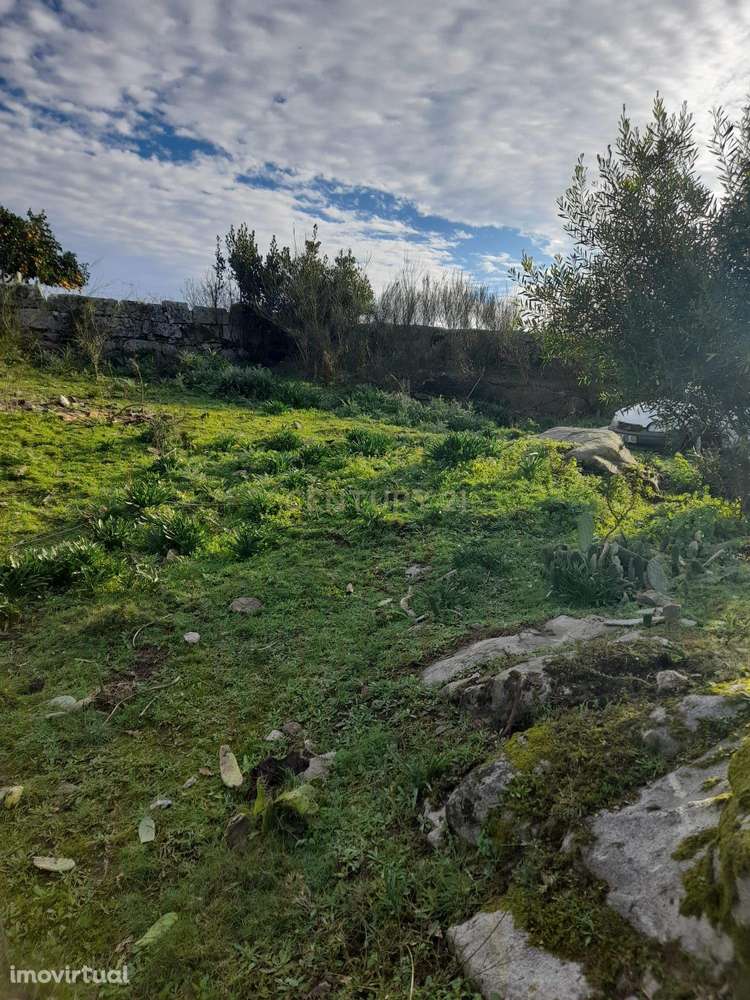 Terreno à Venda em Viana do Castelo - 2420m² por 50.000€ - Grande imagem: 5/9