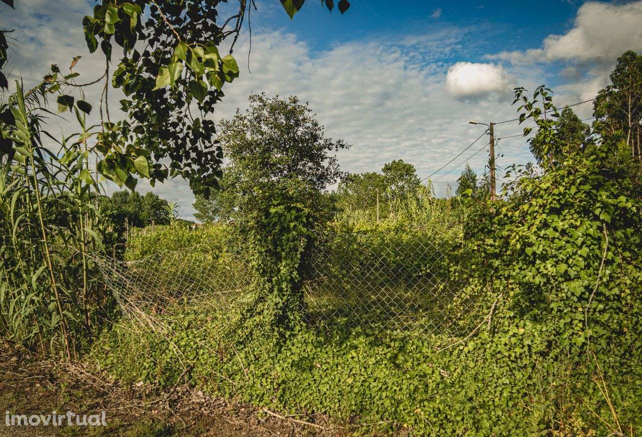 Terreno rústico, Rua do Rio Velho, Mamarrosa, Oliveira do Bairro - Grande imagem: 5/11