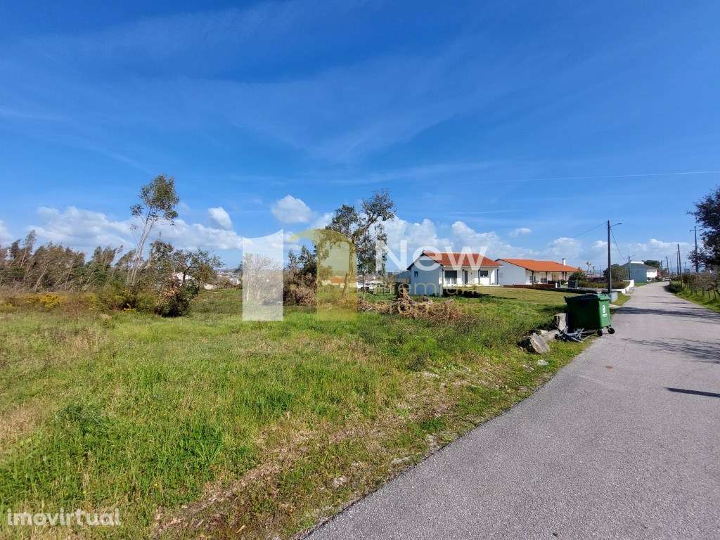 Venda Conjunta de 2 TERRENOS em Amor - Leiria. - Grande imagem: 3/5