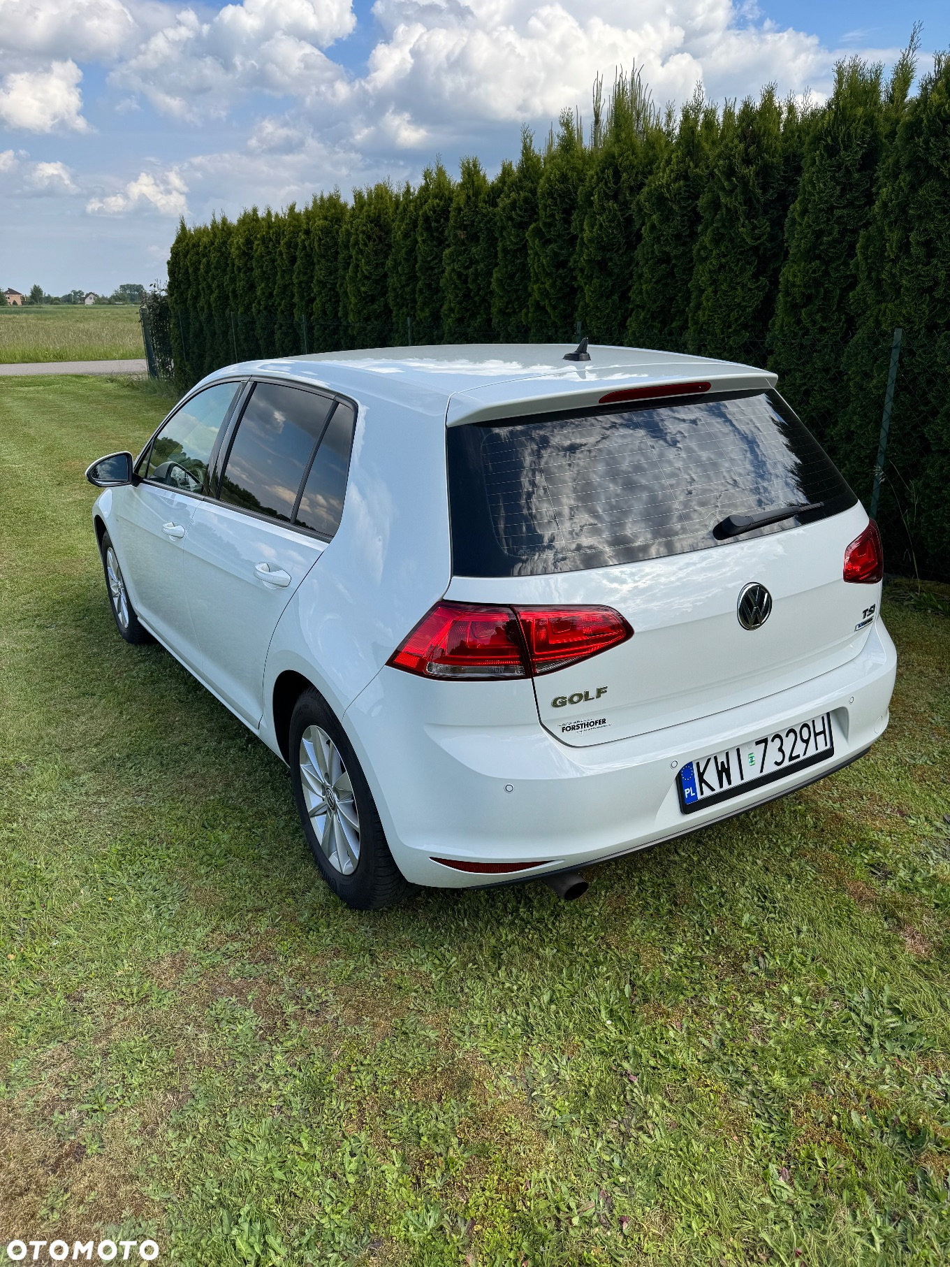Volkswagen Golf - 8
