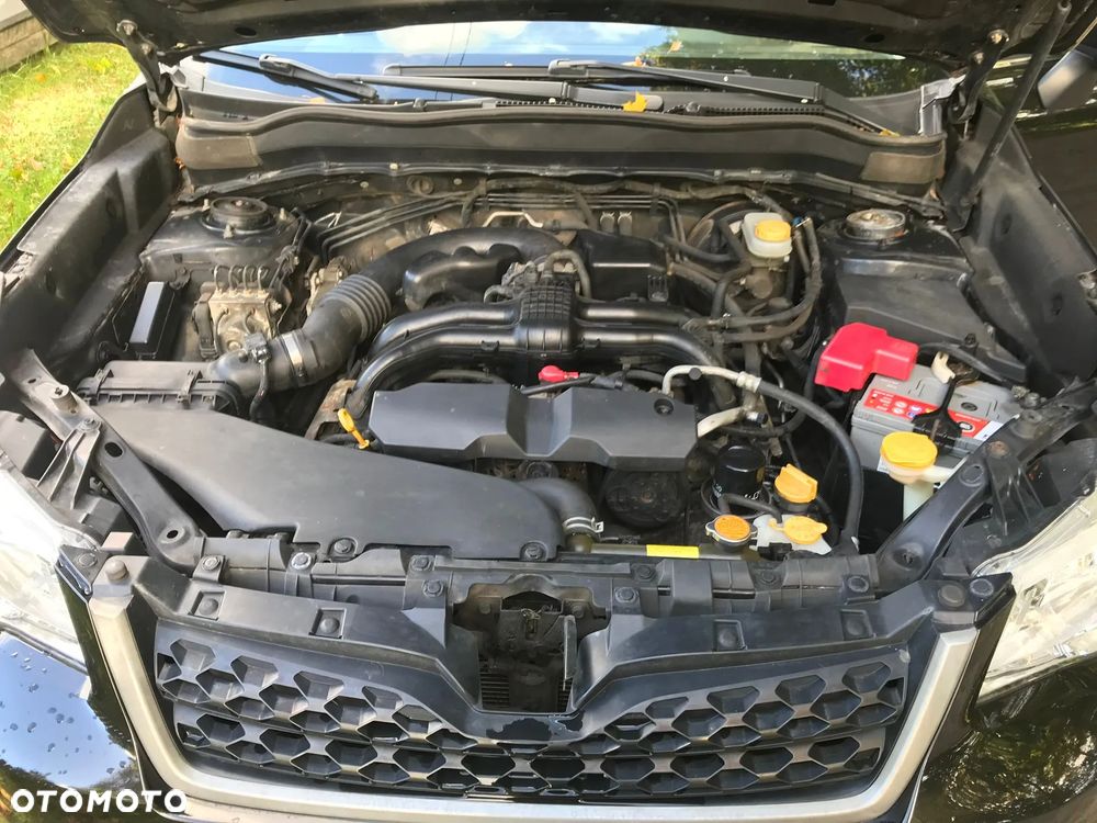 Subaru Forester - 8