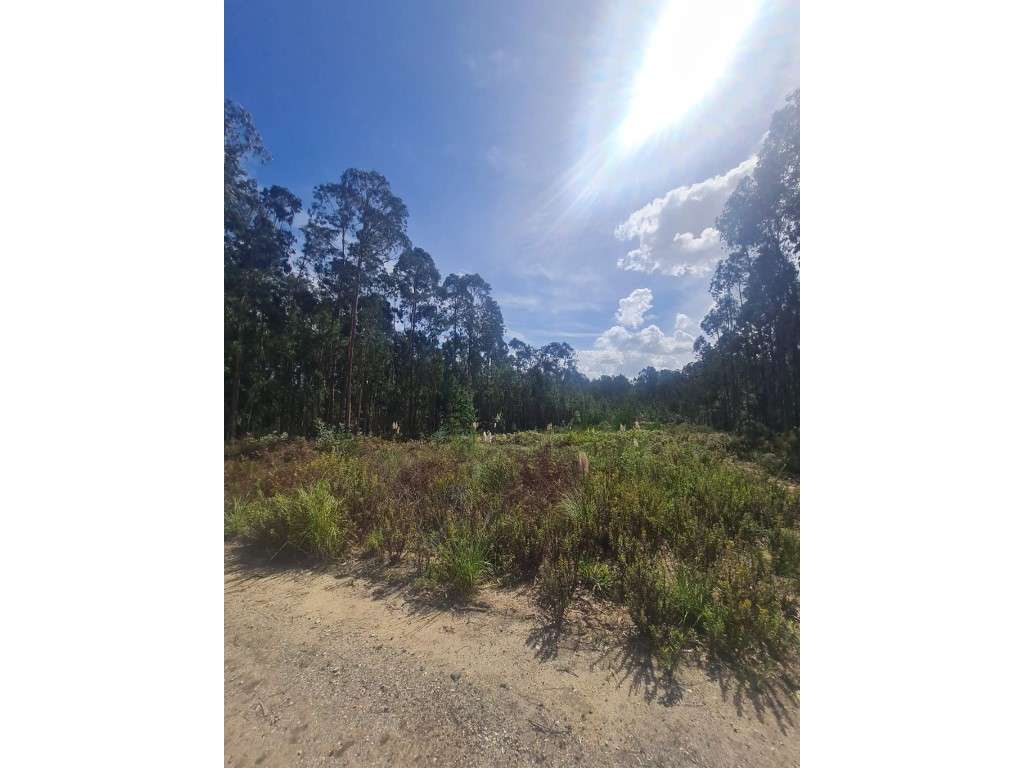 Terreno para construção em Picoto - Oliveirinha - Aveiro - Grande imagem: 4/7