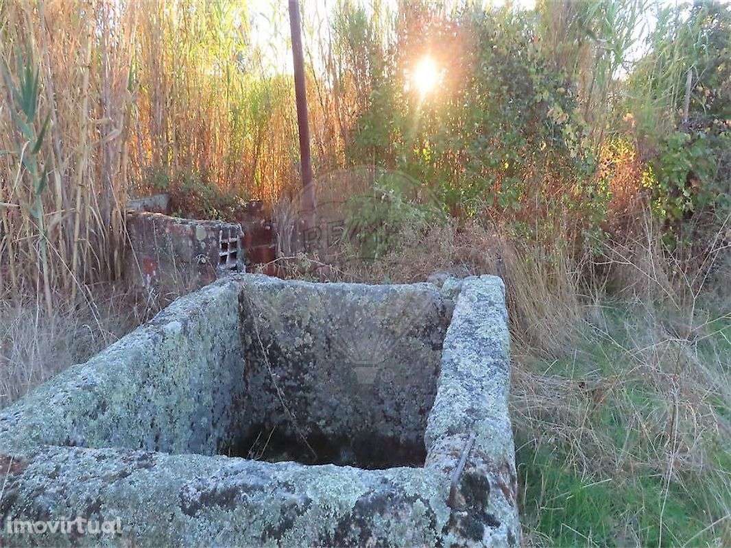 Quinta  para venda - Grande imagem: 3/37