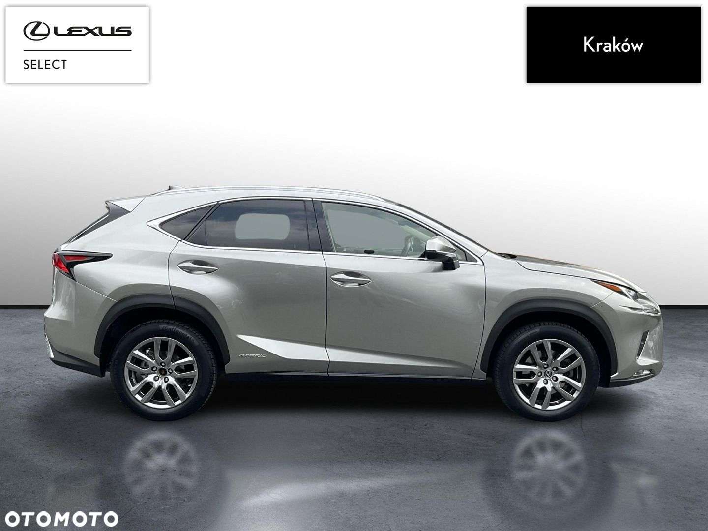 Lexus NX - 6