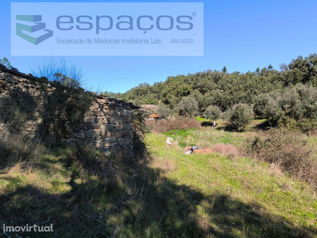 Terreno com casa em pedra e anexos - Palvarinho - Grande imagem: 2/20