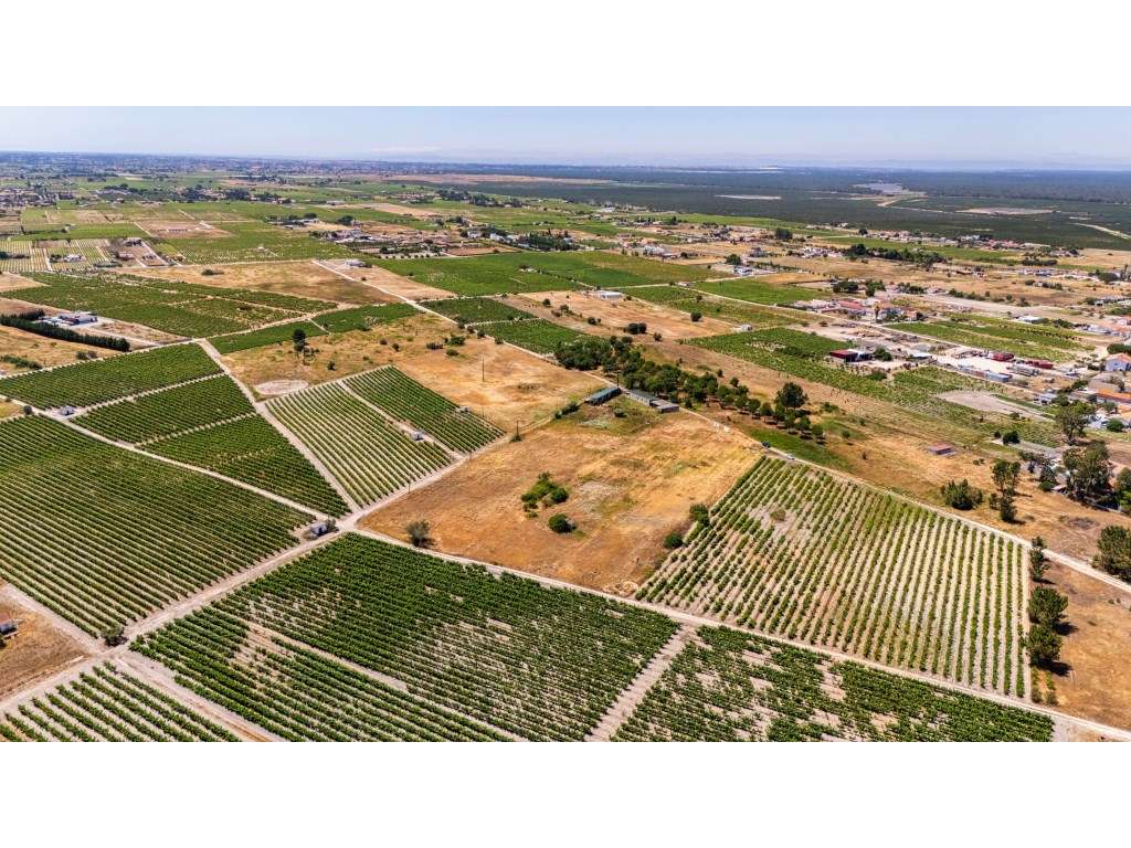 Terreno com 9.260m2 em Palmela com Potencial Construtivo (Zonamento... - Grande imagem: 5/11