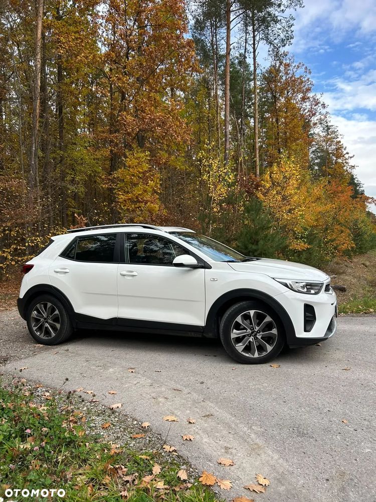 Kia Stonic 2019 photo 3