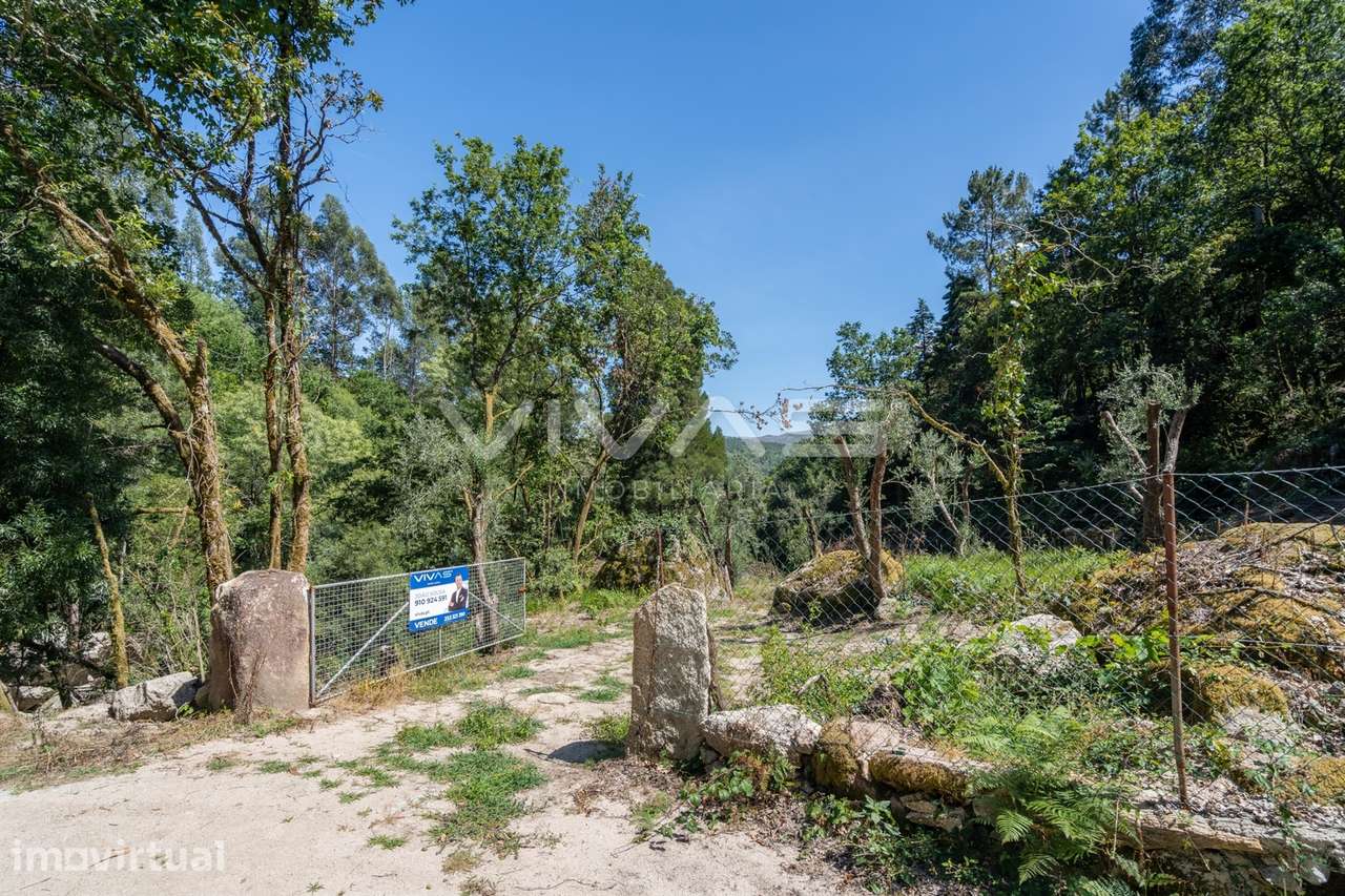 Moradia para Restaurar T0 Venda em Vilar da Veiga,Terras de Bouro - Grande imagem: 4/20