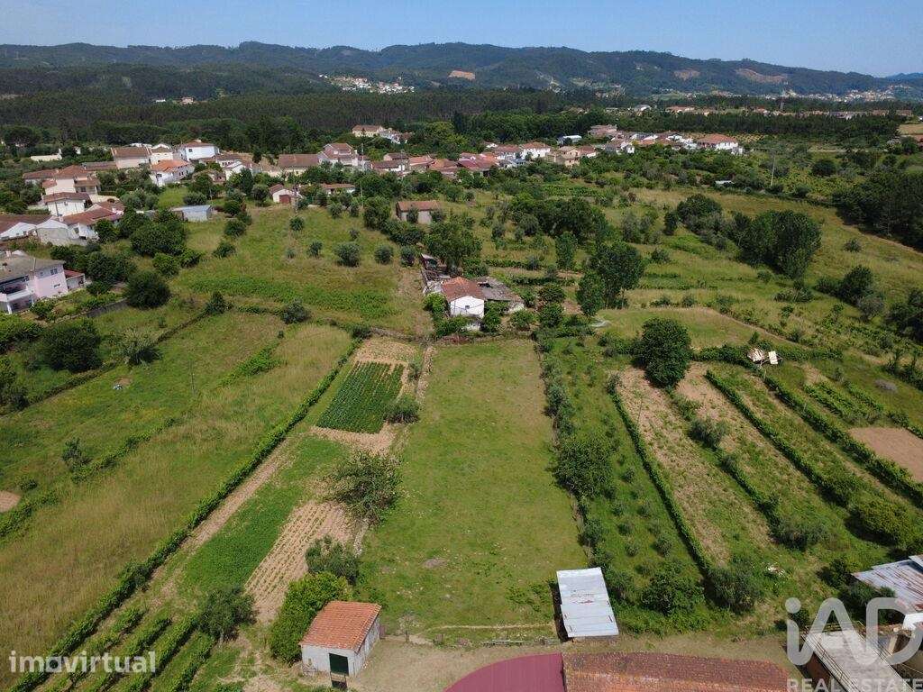 Terreno para construção em Poiares - Grande imagem: 3/39