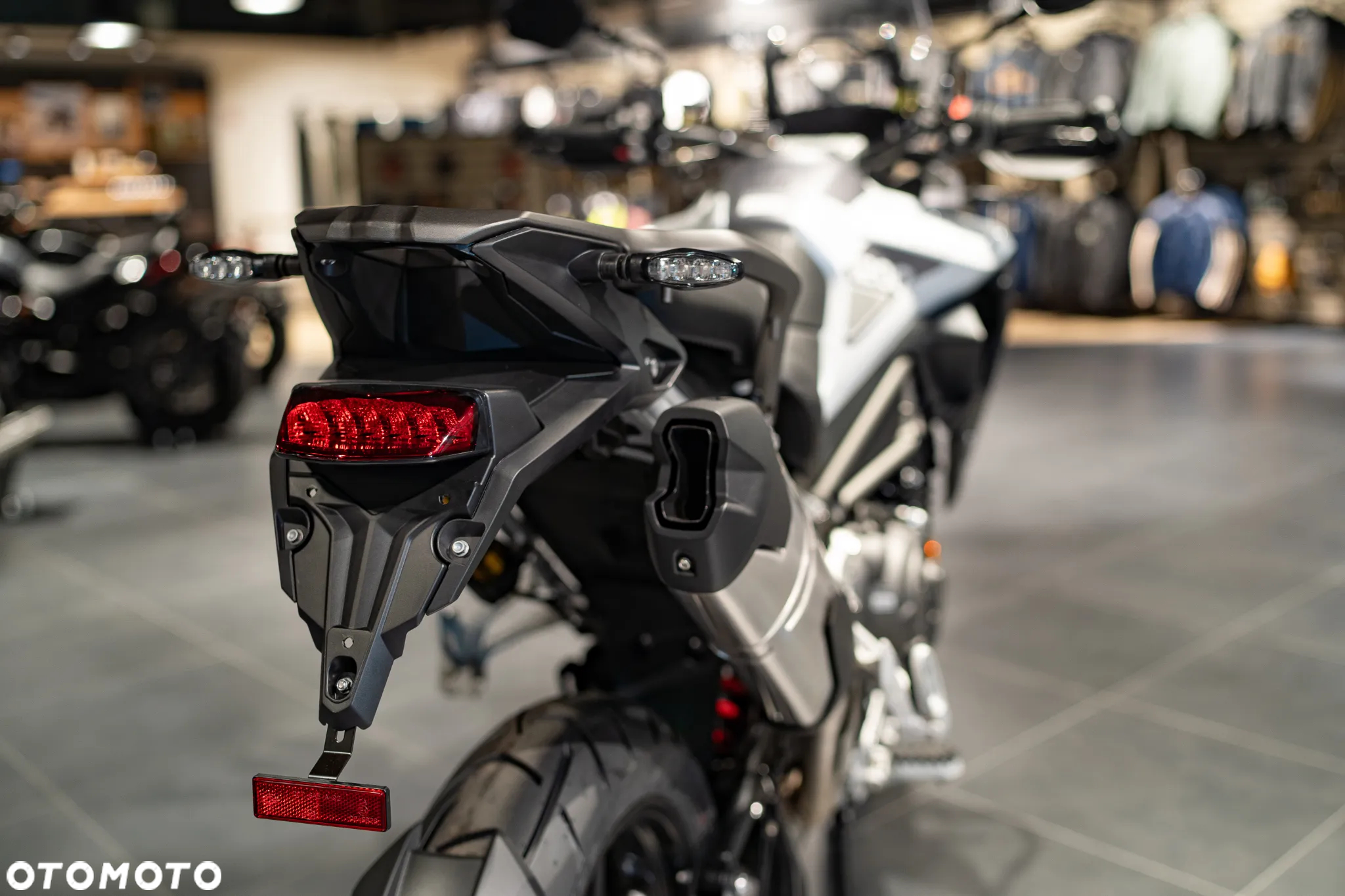 Triumph Tiger - 23