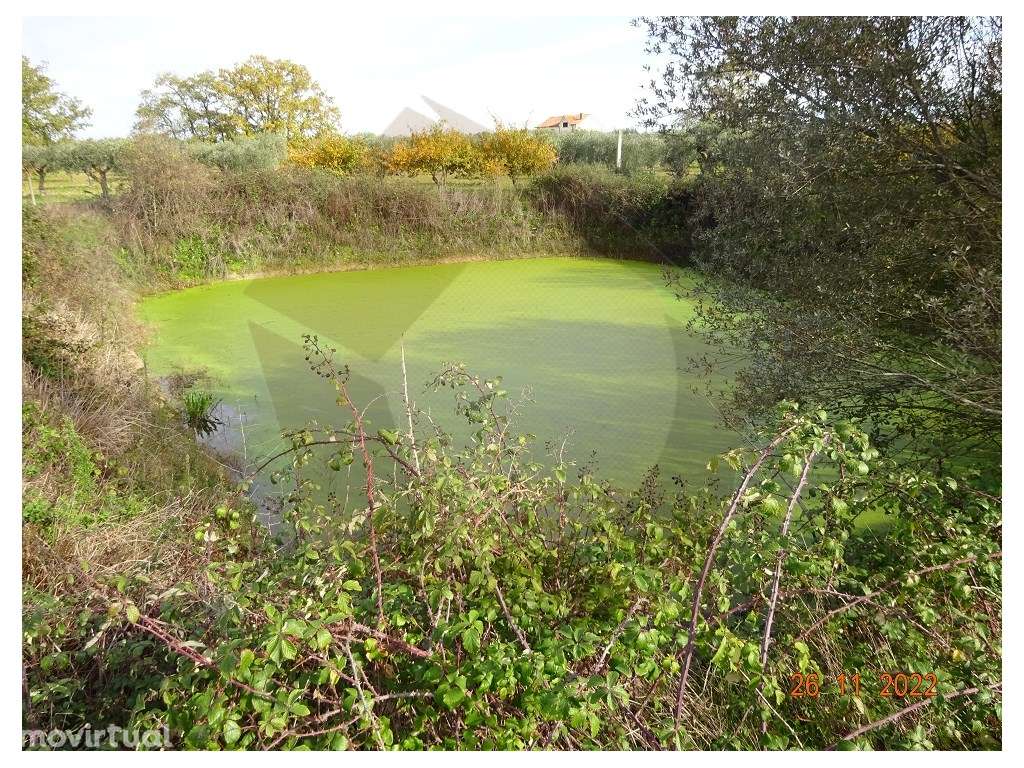 QUINTA AGRICOLA - MÊDA - Grande imagem: 3/46