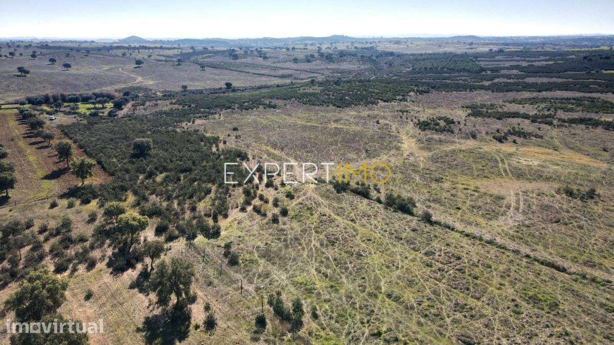 Terreno com 4,9 hectares-Atravessado por Ribeira-Santa... - Grande imagem: 5/14