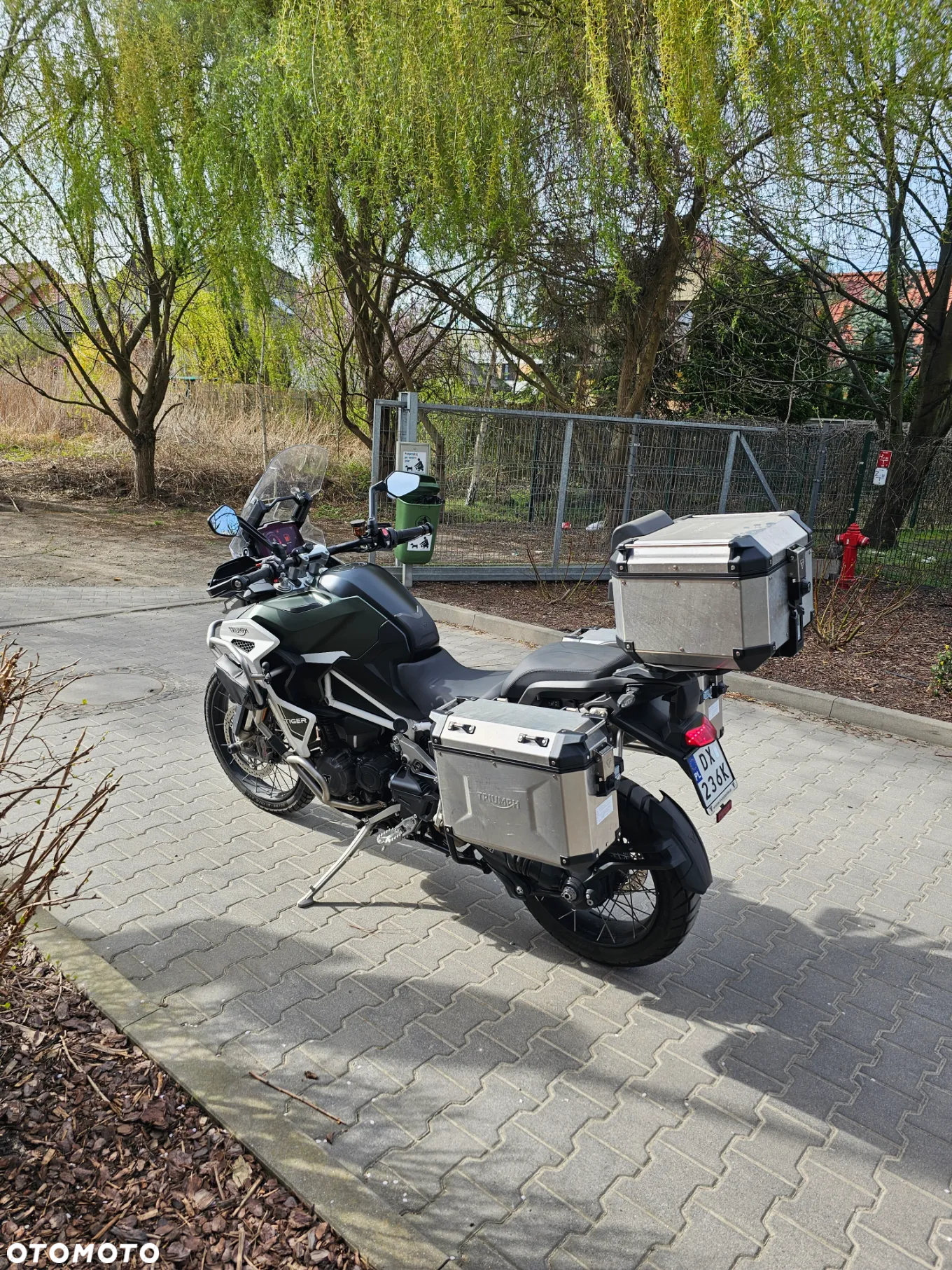 Triumph Tiger - 9