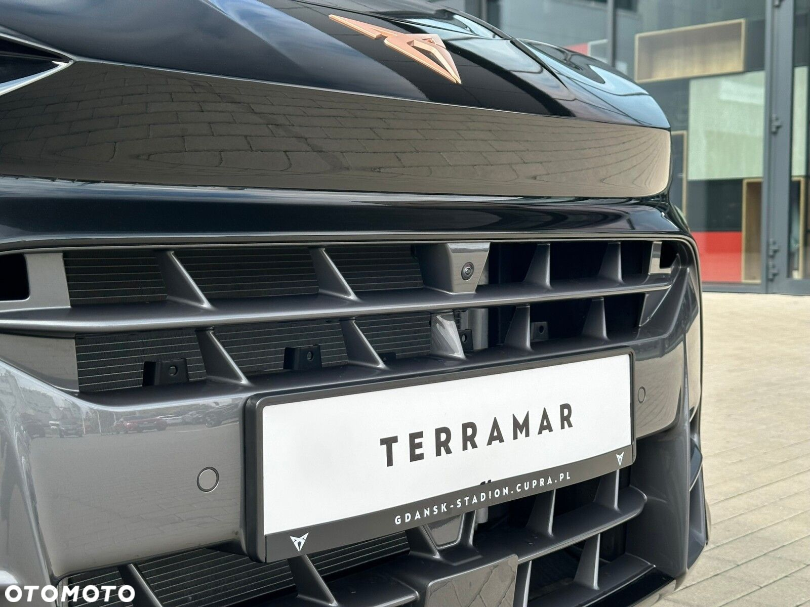 Cupra Terramar - 6