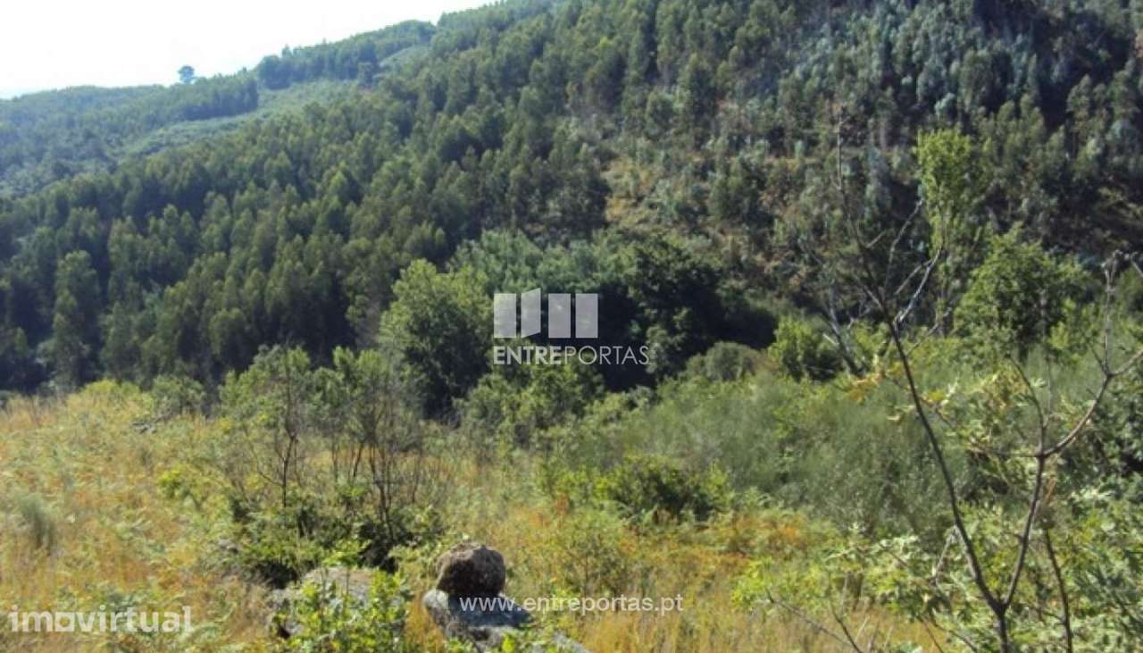 Venda Terreno, Valadares, Baião - Grande imagem: 5/7