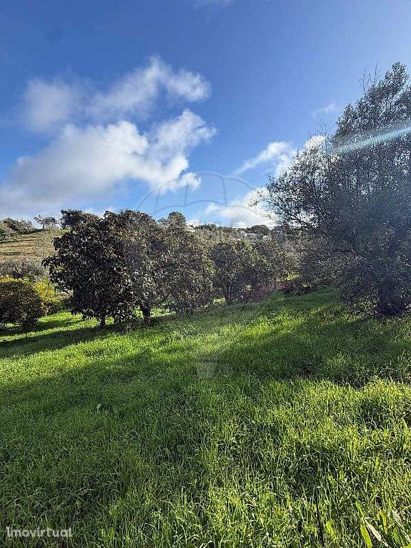 Terreno  para venda - Grande imagem: 4/13