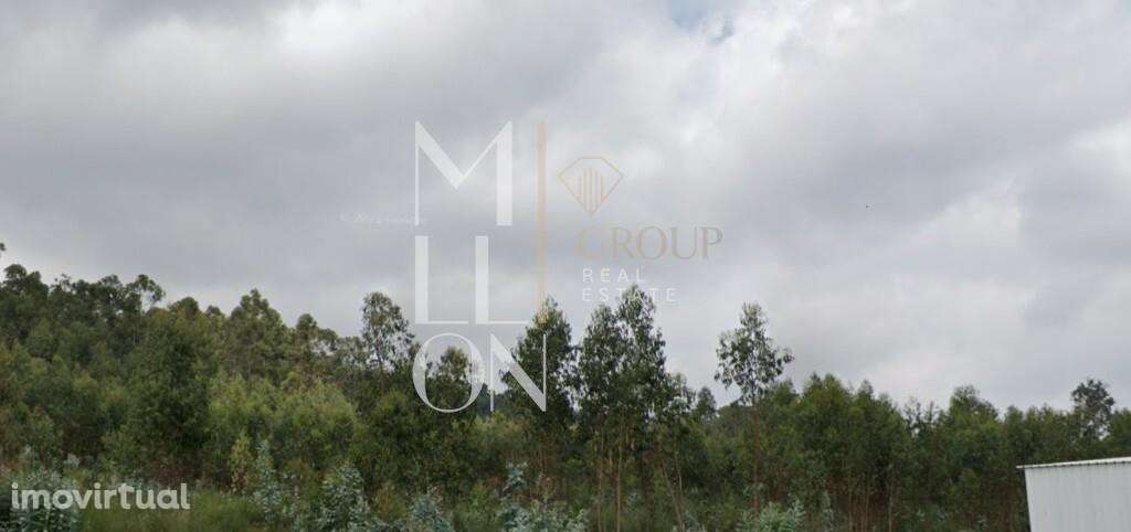 Alerta Investimento, terreno com capacidade construtiva! - Grande imagem: 5/7