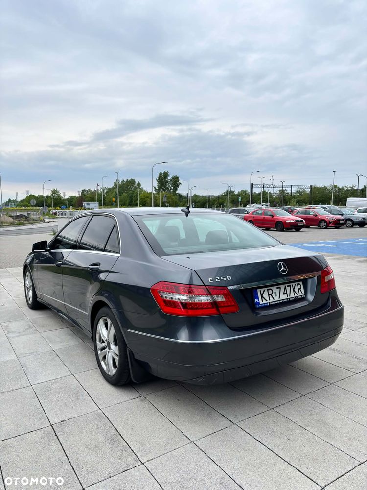 Mercedes-Benz Klasa E 250 CDI 4-Matic BlueEff Avantgarde - 3