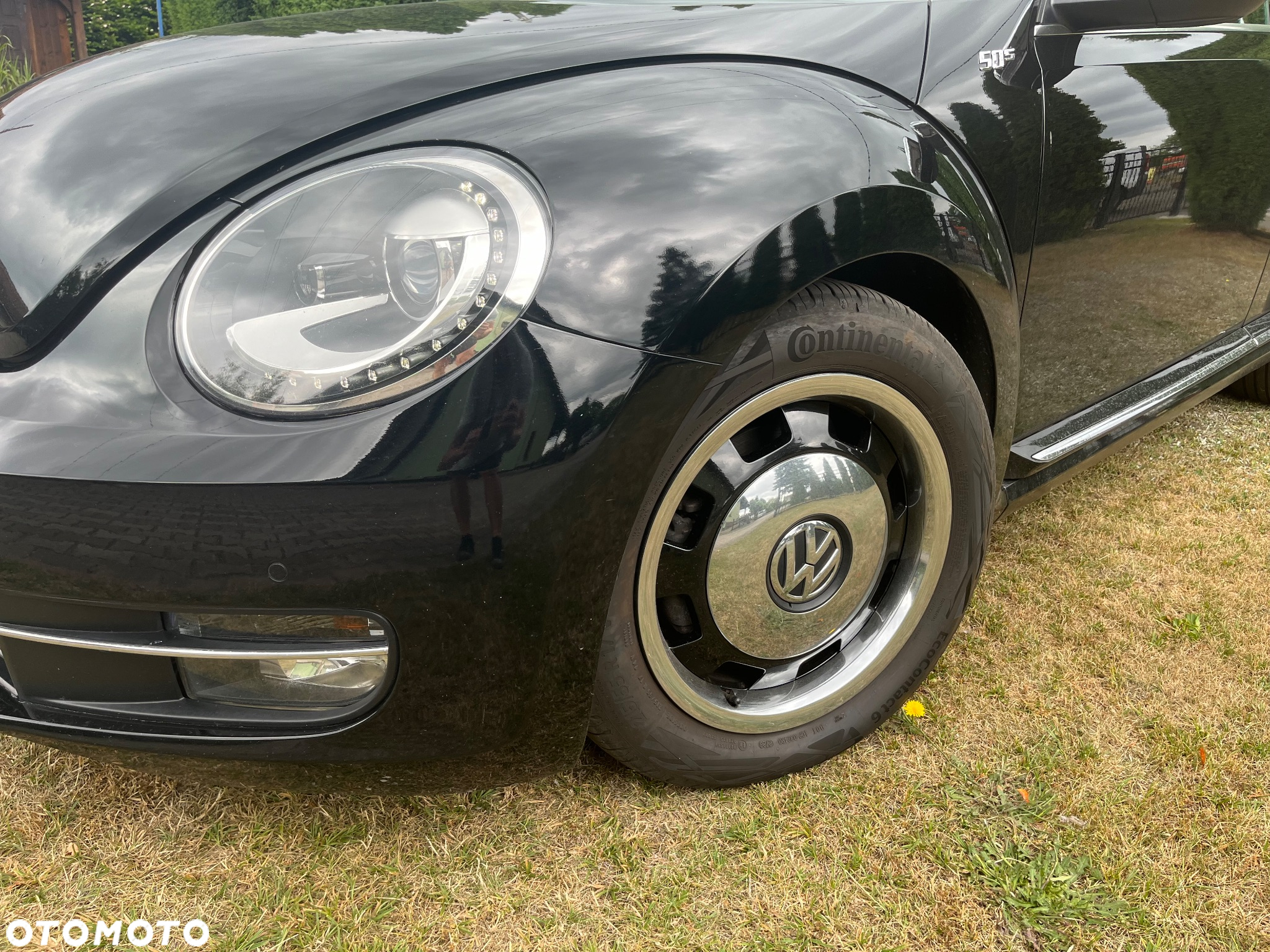 Volkswagen Beetle - 18