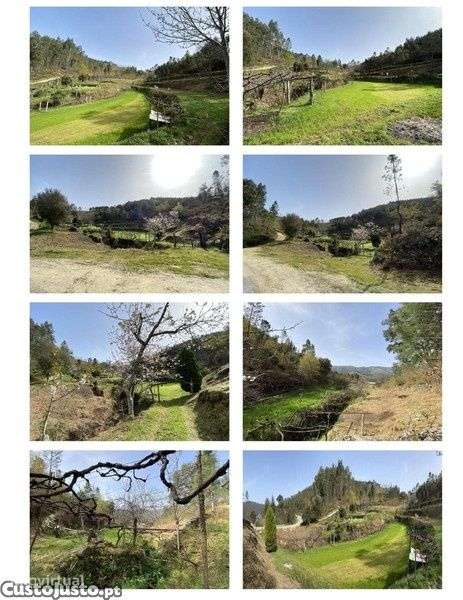 Quinta com casa de apoio à agricultura e área florestal - Grande imagem: 2/3