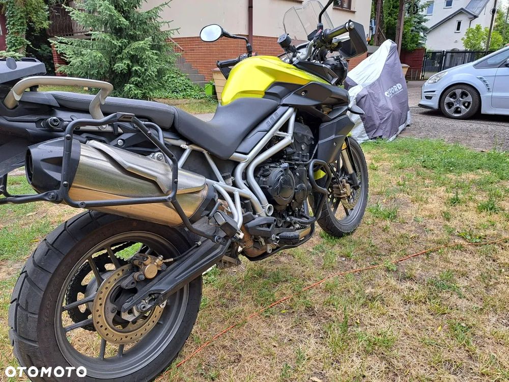 Triumph Tiger - 5