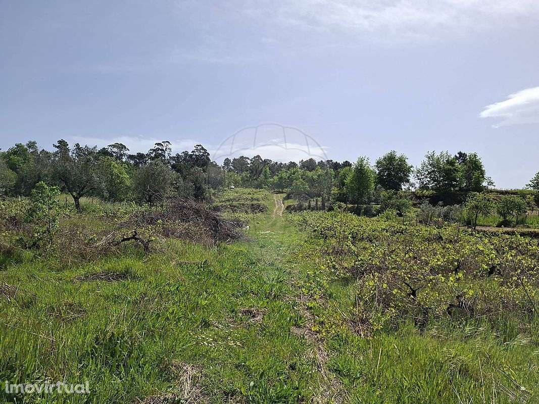 Terreno  para venda - Grande imagem: 2/6