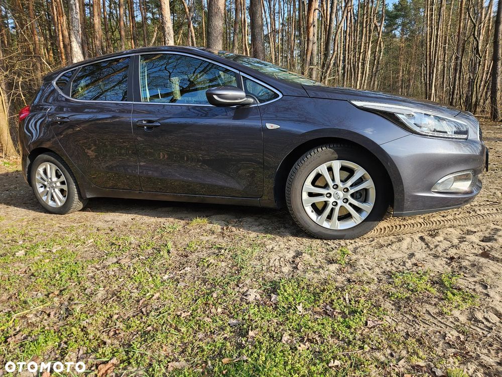 Kia Ceed 1.4 CVVT Fifa World Cup Edition - 8