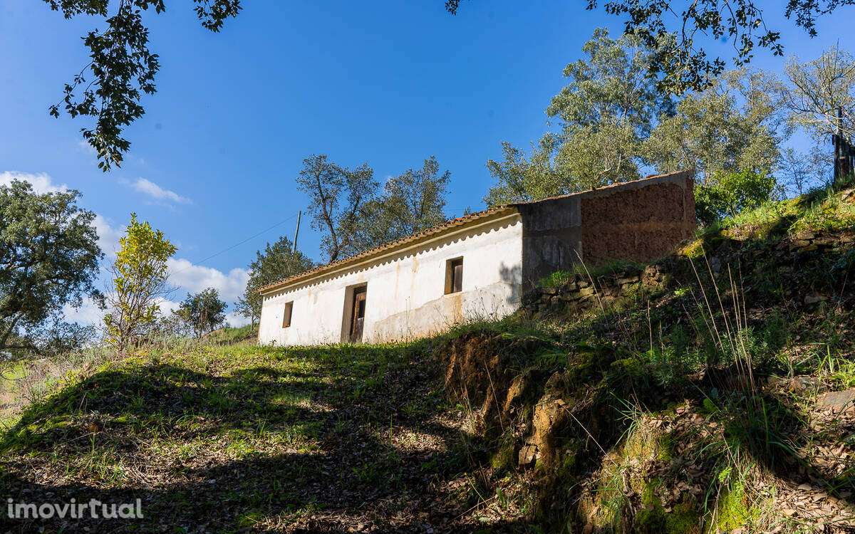 Quintinha tipica em Farelo - Grande imagem: 2/8